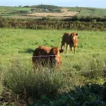 Bed & Breakfast Glencarrig 3*