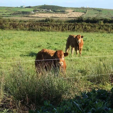 Bed & Breakfast Glencarrig 3*