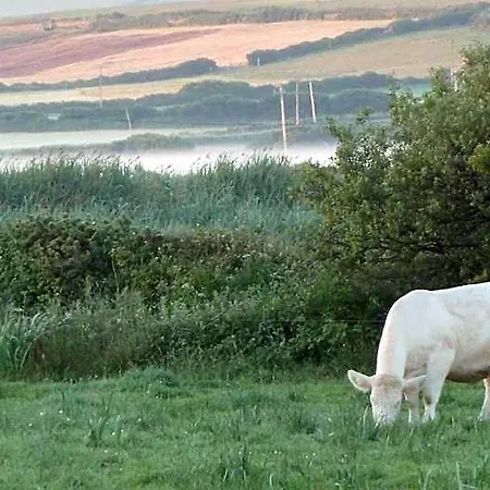 Glencarrig Bed & Breakfast