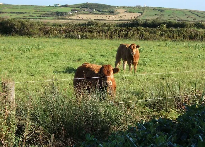 Couette-café Glencarrig 3*